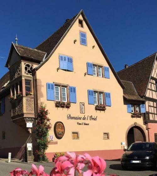 Ferienwohnung Les Vendangeurs Niedermorschwihr Exterior foto